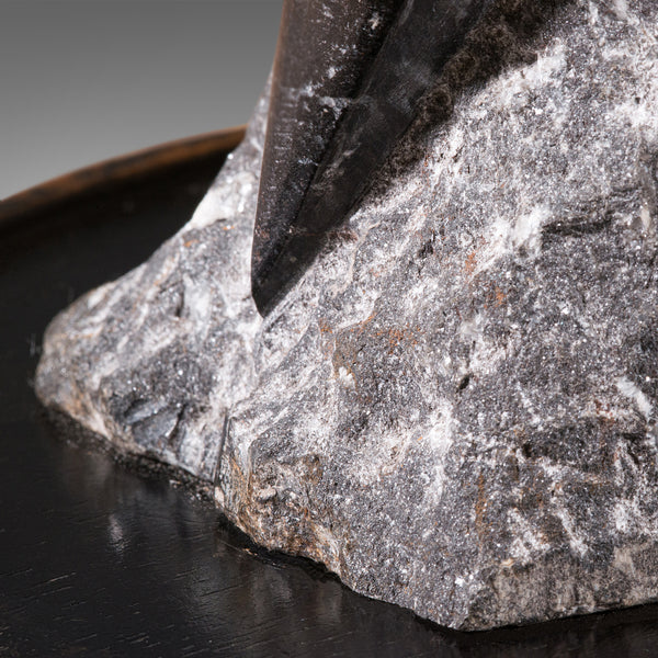 Antique Decorative Granite Formation, English, Geological, Display, Edwardian