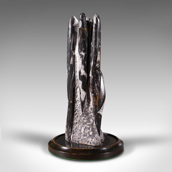 Antique Decorative Granite Formation, English, Geological, Display, Edwardian