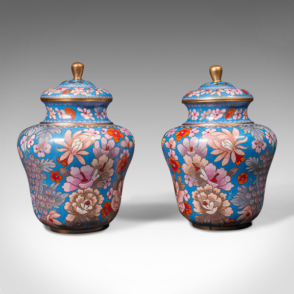 Pair Of Antique Cloisonne Spice Jars, English Ceramic, Decorative Pot, Victorian