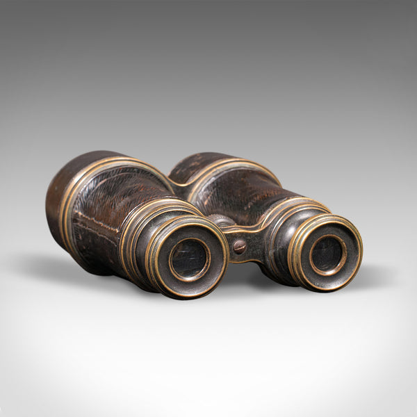 Pair Of Antique Binoculars, English, Brass, Leather, Optical Instrument, C.1920