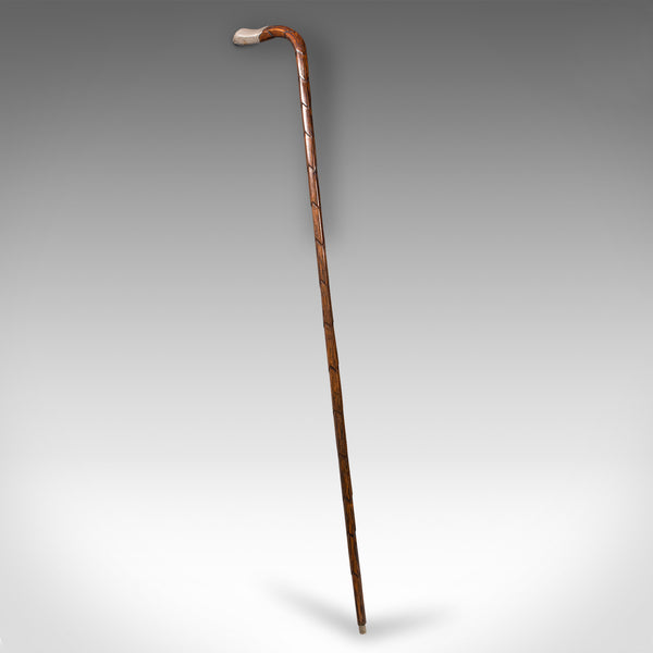 Antique Gentleman's Walking Stick, English, Coromandel, Silver, Cane, Edwardian