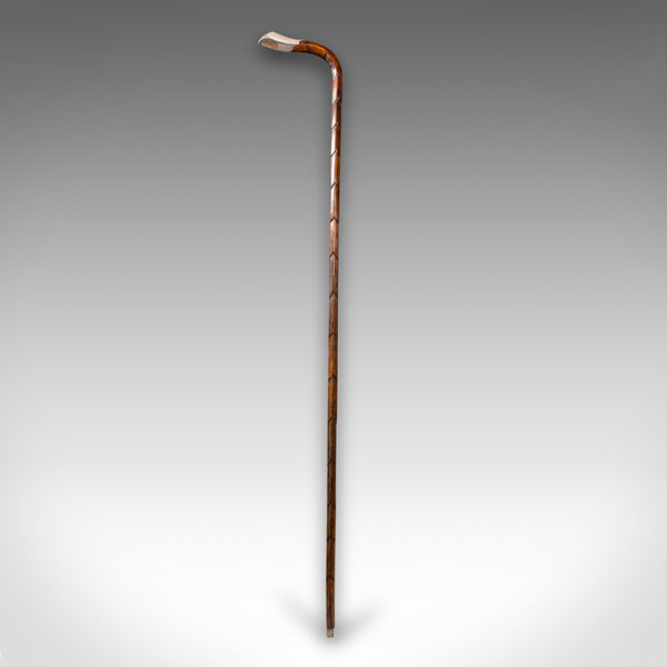 Antique Gentleman's Walking Stick, English, Coromandel, Silver, Cane, Edwardian