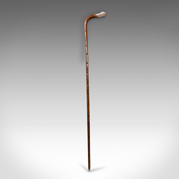 Antique Gentleman's Walking Stick, English, Coromandel, Silver, Cane, Edwardian