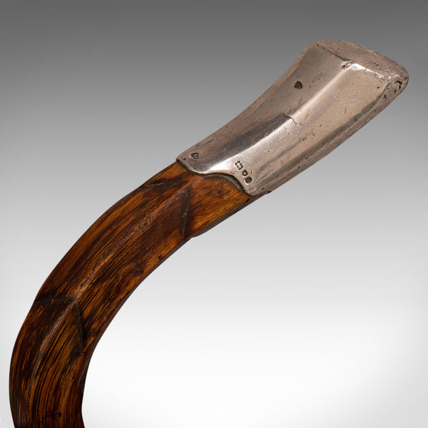 Antique Gentleman's Walking Stick, English, Coromandel, Silver, Cane, Edwardian