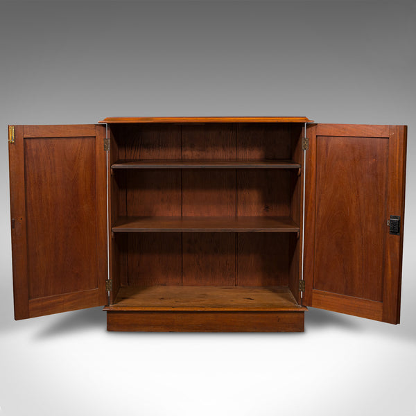 Antique Side Cabinet, English, Bookshelf, Drinks Cupboard, Victorian, Circa 1860