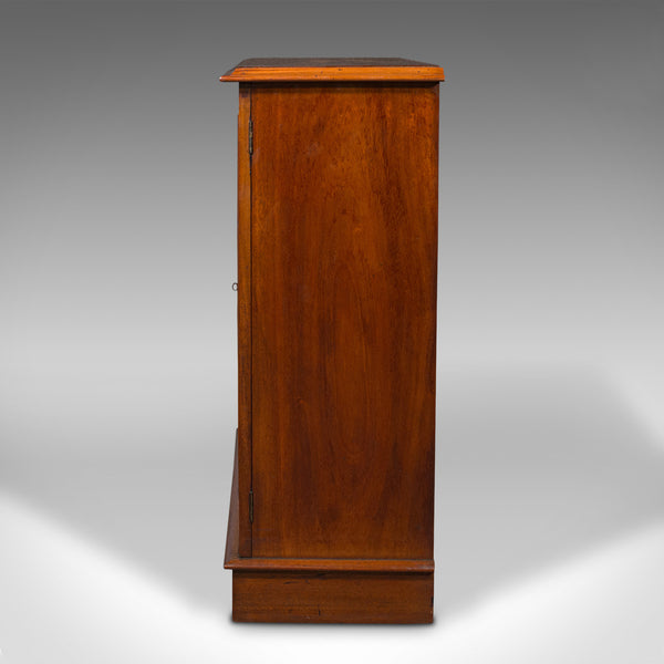 Antique Side Cabinet, English, Bookshelf, Drinks Cupboard, Victorian, Circa 1860