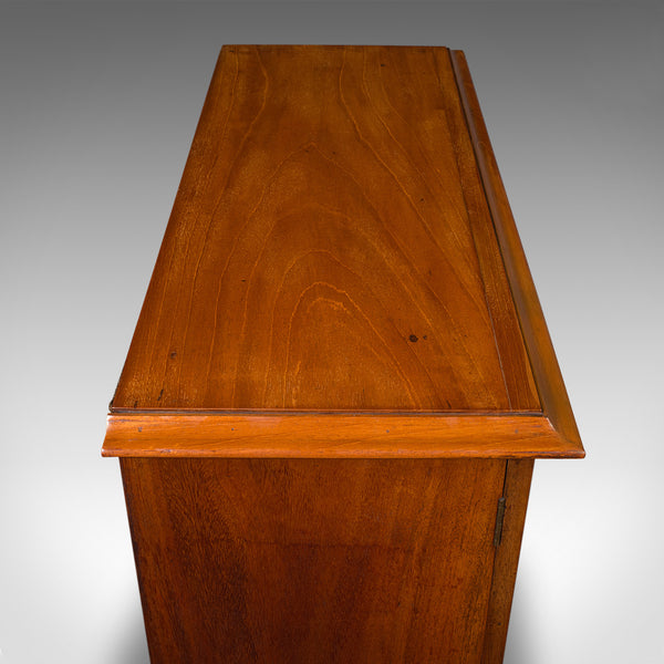 Antique Side Cabinet, English, Bookshelf, Drinks Cupboard, Victorian, Circa 1860