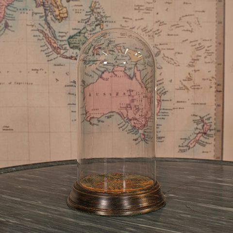 Antique Display Dome, English, Glass, Beech, Taxidermy Showcase, Victorian, 1900