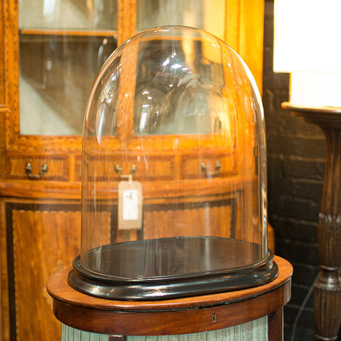 Large Antique Oval Display Dome, English Showcase, Taxidermy, Diorama, Victorian