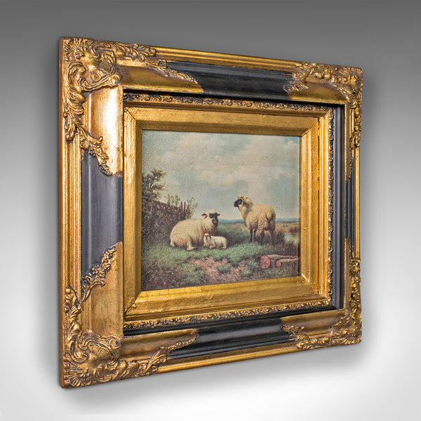 Small Vintage Sheep Scene, English, Gilt Framed, Decorative Picture, Countryside