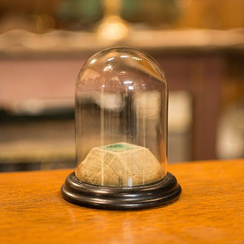 Small Antique Display Dome, English, Taxidermy, Specimen, Showcase, Victorian