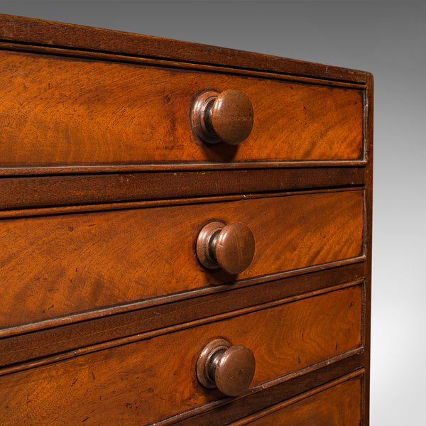 Antique Specimen Chest, English, Collector's Chest of Drawers, Georgian, C.1800