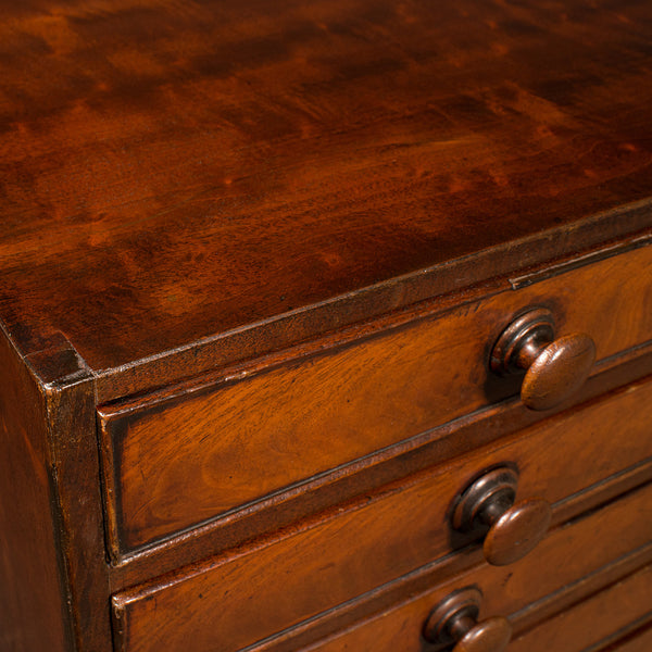 Antique Specimen Chest, English, Collector's Chest of Drawers, Georgian, C.1800