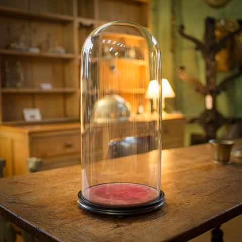 Large Antique Display Dome, English, Glass, Taxidermy, Showcase, Victorian, 1880