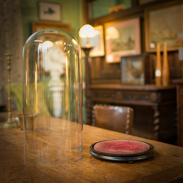 Large Antique Display Dome, English, Glass, Taxidermy, Showcase, Victorian, 1880