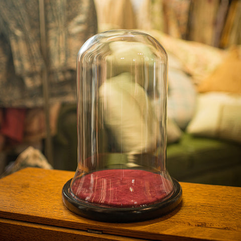 Antique Bell Bottom Display Dome, English, Glass, Taxidermy, Showcase, Edwardian