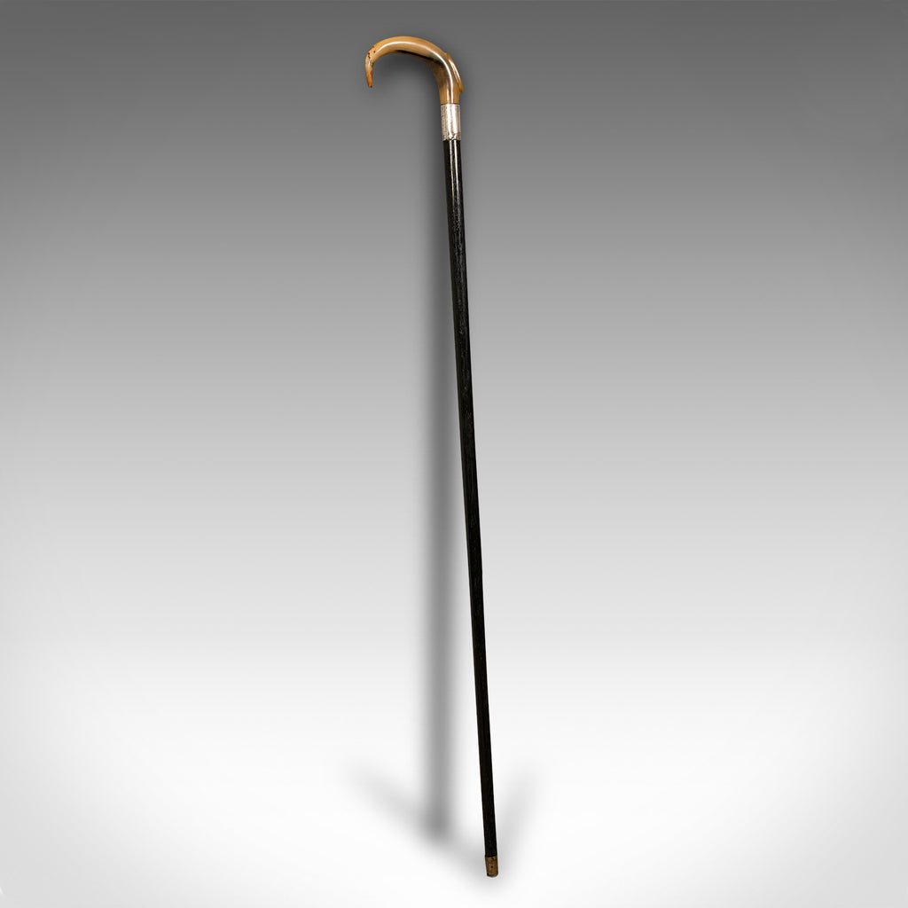 Antique Gentleman's Walking Stick, English, Ebonised, Horn