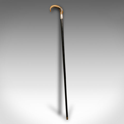 Antique Gentleman's Walking Stick, English, Ebonised, Horn, Victorian, C.1850