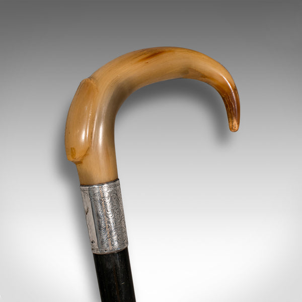Antique Gentleman's Walking Stick, English, Ebonised, Horn, Victorian, C.1850