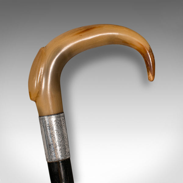 Antique Gentleman's Walking Stick, English, Ebonised, Horn, Victorian, C.1850