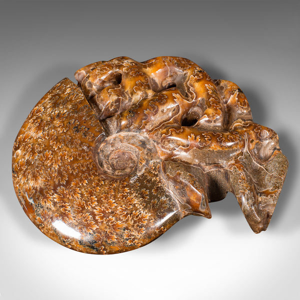 Vintage Carved Decorative Ammonite, African, Fossil, Display, Cretaceous, C.1970