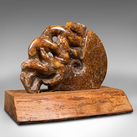 Vintage Carved Decorative Ammonite, African, Fossil, Display, Cretaceous, C.1970