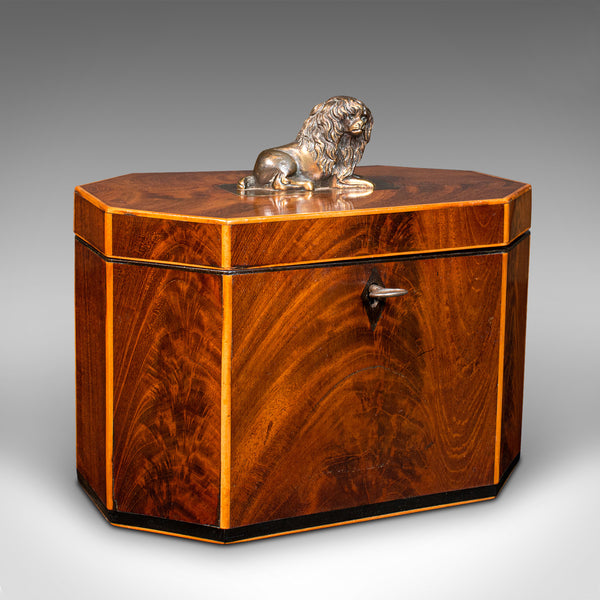 Antique Decorative Tea Caddy, English, Keepsake Box, Figurative, Lion, Regency
