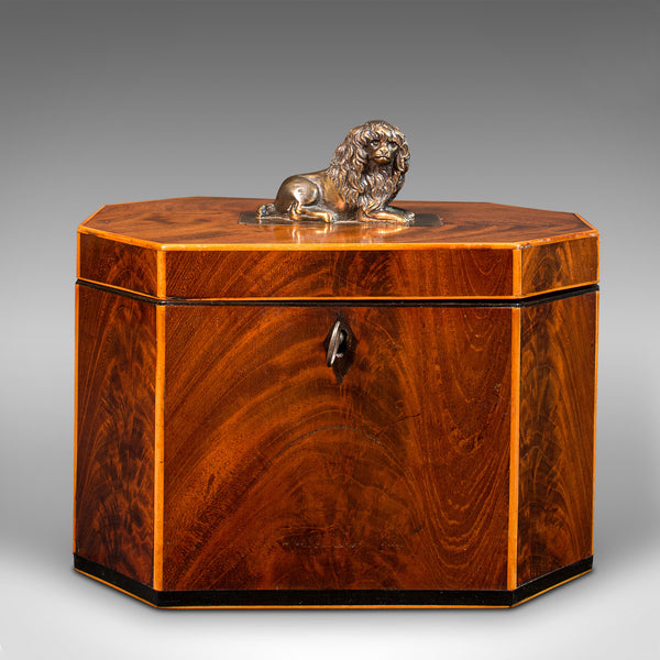 Antique Decorative Tea Caddy, English, Keepsake Box, Figurative, Lion, Regency