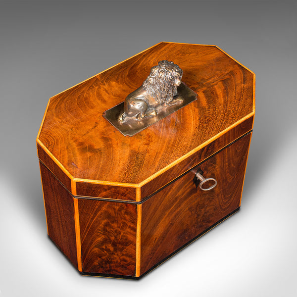 Antique Decorative Tea Caddy, English, Keepsake Box, Figurative, Lion, Regency