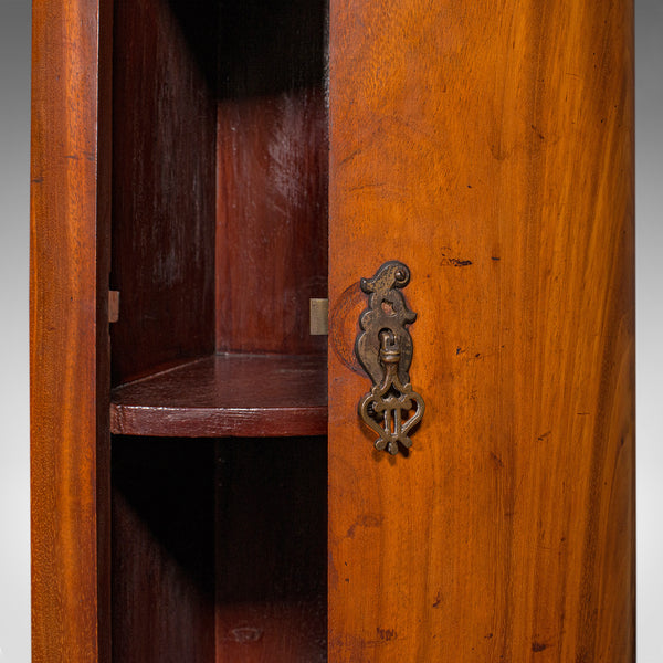 Small Antique Corner Medicine Cabinet, English, Bow Front, Cupboard, Victorian