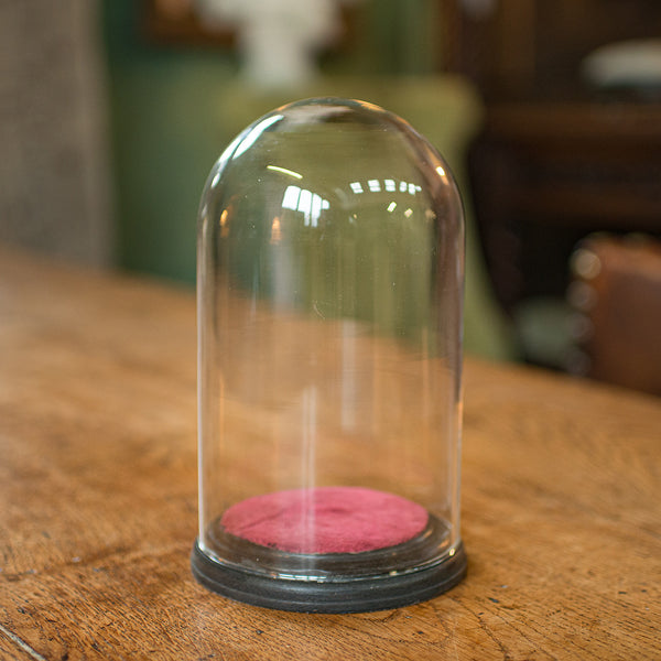 Small Antique Display Dome, English, Glass, Specimen, Decor, Victorian, C.1890