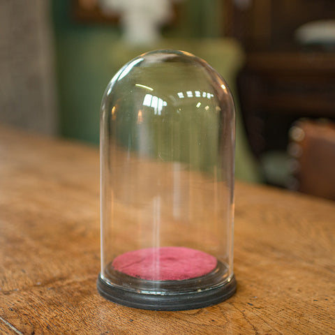 Small Antique Display Dome, English, Glass, Specimen, Decor, Victorian, C.1890