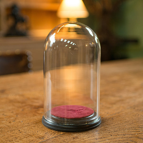 Small Antique Display Dome, English, Glass, Specimen, Decor, Victorian, C.1890