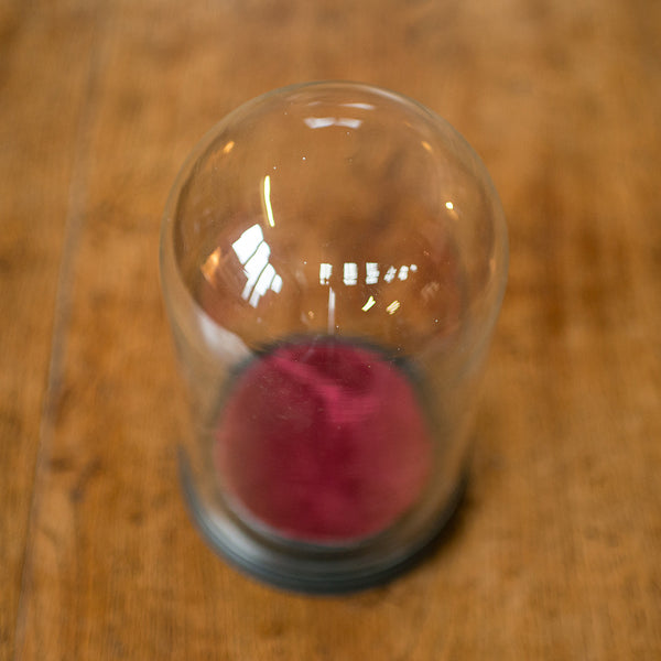 Small Antique Display Dome, English, Glass, Specimen, Decor, Victorian, C.1890