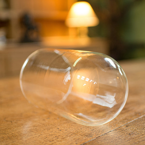 Small Antique Display Dome, English, Glass, Specimen, Decor, Victorian, C.1890
