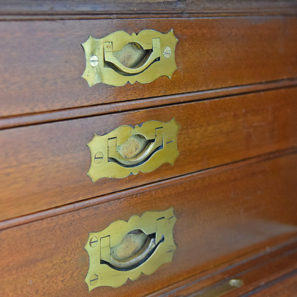 Antique Collectors Chest, Victorian Specimen Cabinet - London Fine Antiques