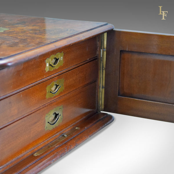 Antique Collectors Chest, Victorian Specimen Cabinet - London Fine Antiques