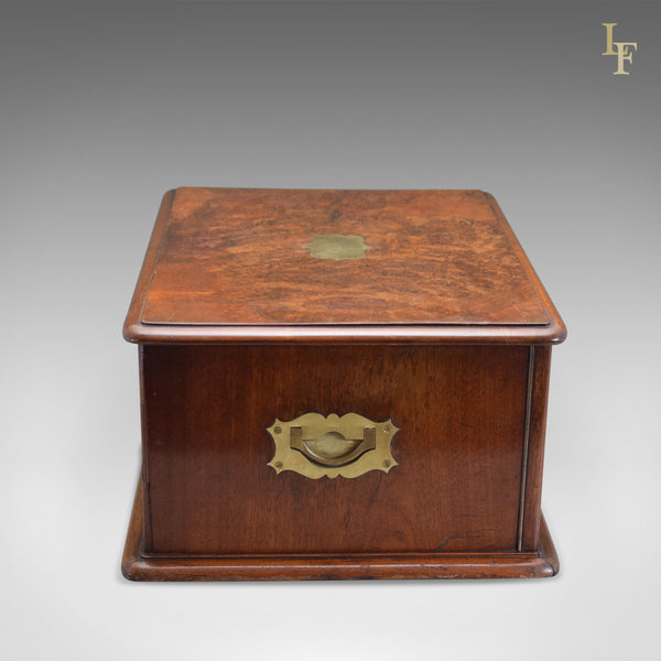 Antique Collectors Chest, Victorian Specimen Cabinet - London Fine Antiques