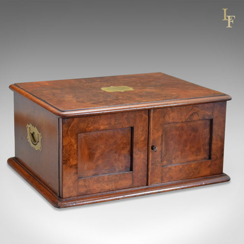Antique Collectors Chest, Victorian Specimen Cabinet - London Fine Antiques