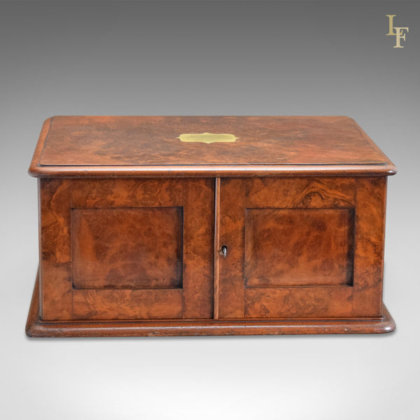 Antique Collectors Chest, Victorian Specimen Cabinet - London Fine Antiques