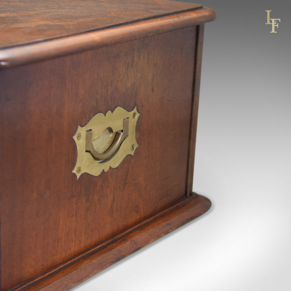 Antique Collectors Chest, Victorian Specimen Cabinet - London Fine Antiques