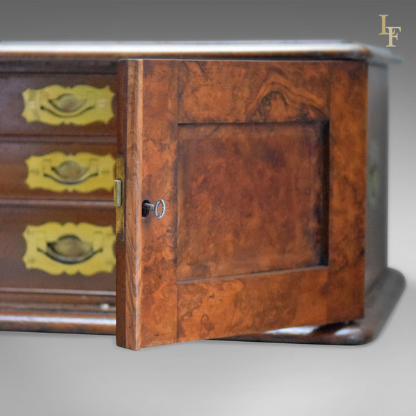 Antique Collectors Chest, Victorian Specimen Cabinet - London Fine Antiques