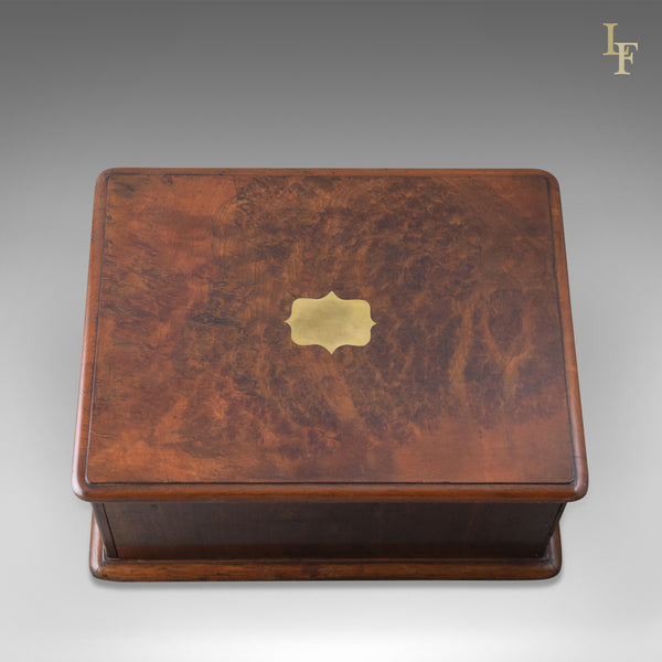 Antique Collectors Chest, Victorian Specimen Cabinet - London Fine Antiques