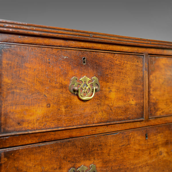 Antique Campaign Chest of Drawers, English, Late Georgian, Walnut, Circa 1780 - London Fine Antiques
