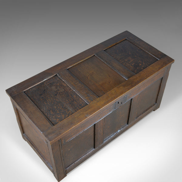 Antique Coffer, Oak, Joined Chest, Three Panel Trunk, Early 18th Century c.1700 - London Fine Antiques