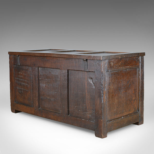 Antique Coffer, Oak, Joined Chest, Three Panel Trunk, Early 18th Century c.1700 - London Fine Antiques