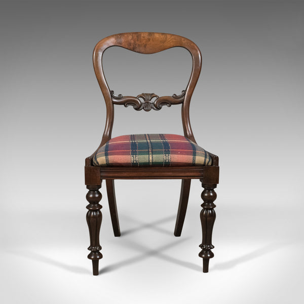 Antique Dining Chair, English, Buckle Back, Mahogany Circa 1835 - London Fine Antiques