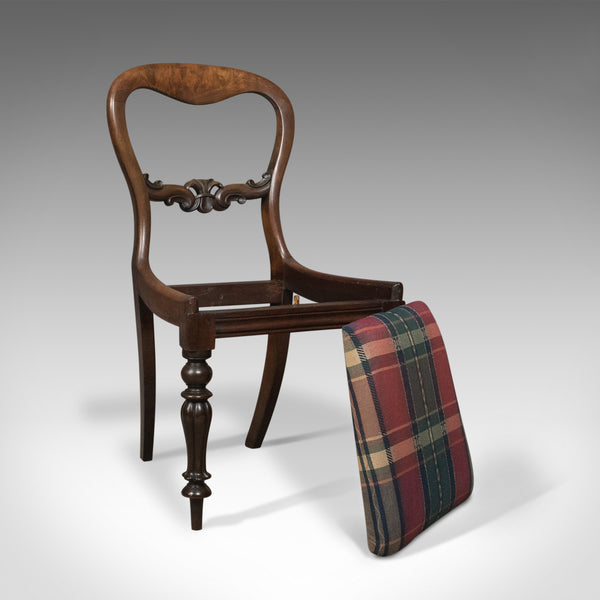 Antique Dining Chair, English, Buckle Back, Mahogany Circa 1835 - London Fine Antiques