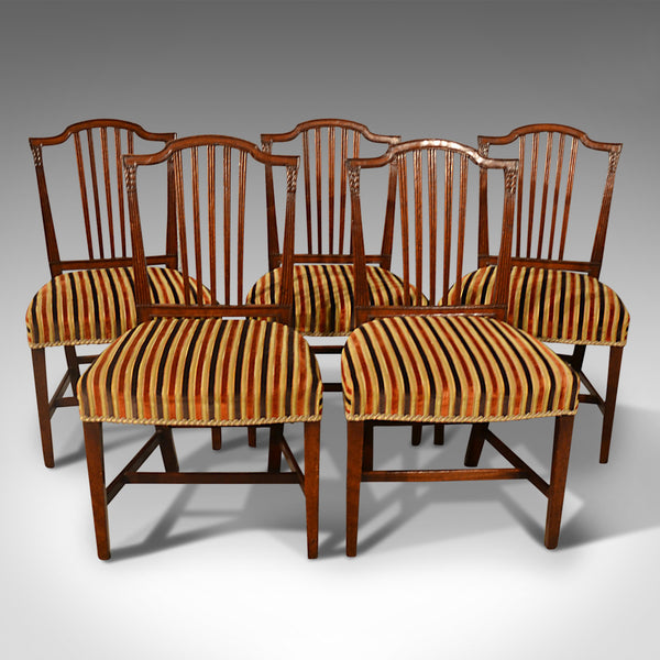 Antique Dining Chairs, Set of Five, Mahogany, Georgian, Sheraton, English c1800 - London Fine Antiques