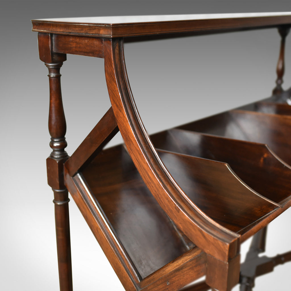 Antique Library Book Trough, English, Victorian, Regency Revival Books